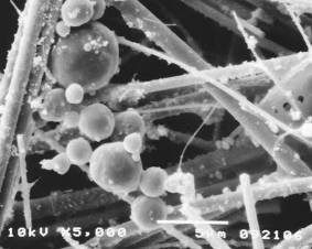 enzymefilter casestudy_06